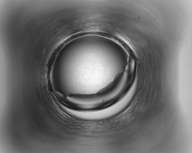 X0000096441452200801241349
