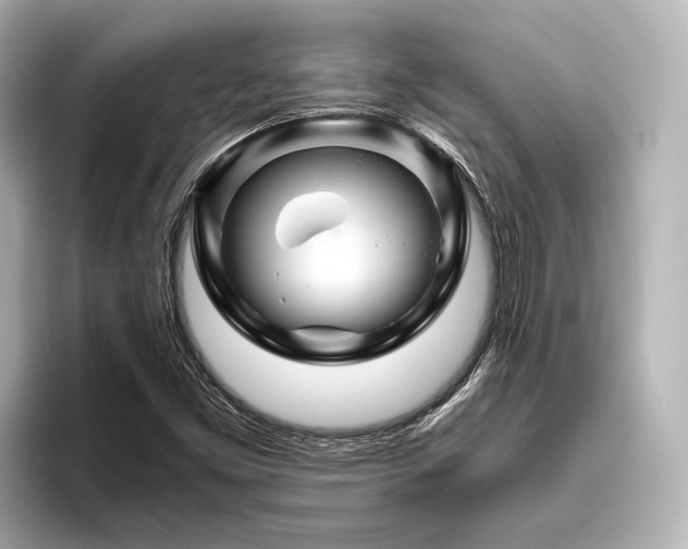 X0000096441453200801241349