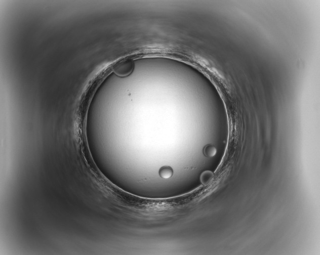 X0000096441454200801241349