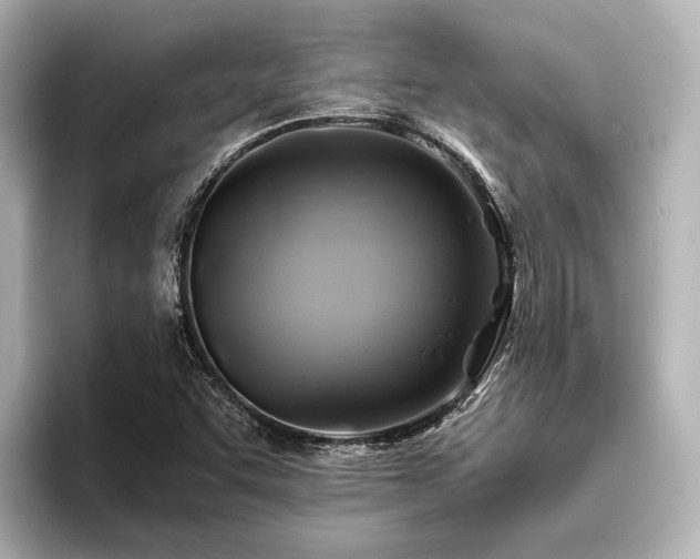 X0000096441455200801241349