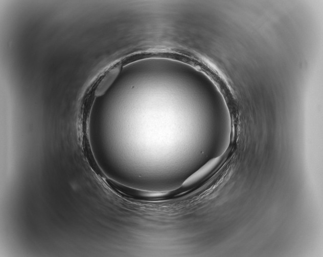 X0000096441456200801241349