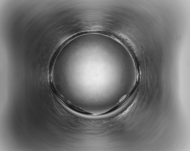 X0000096441457200801241349