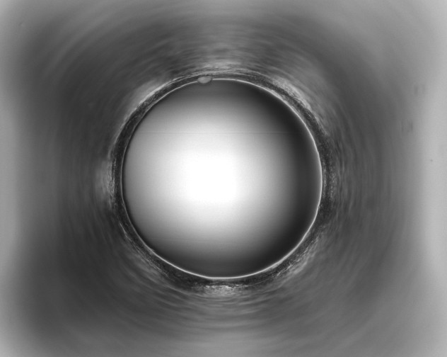 X0000096441458200801241349