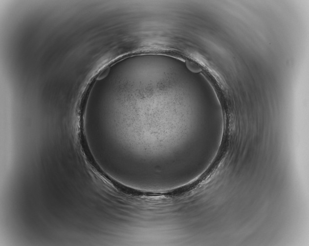 X0000096441459200801241349