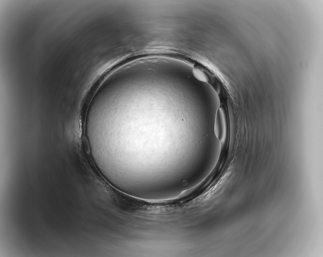 X0000096441461200801241349