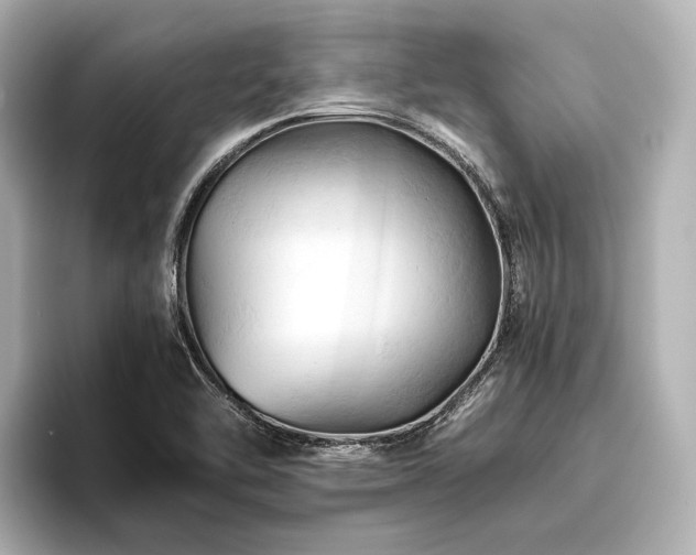 X0000096441462200801241349