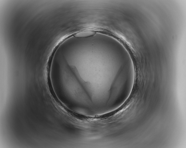 X0000096441463200801241349