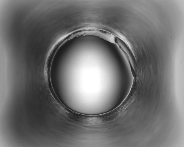 X0000096441464200801241349