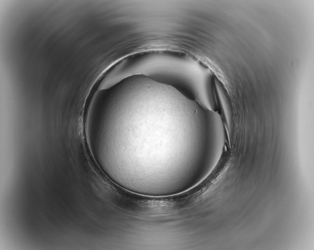 X0000096441465200801241349