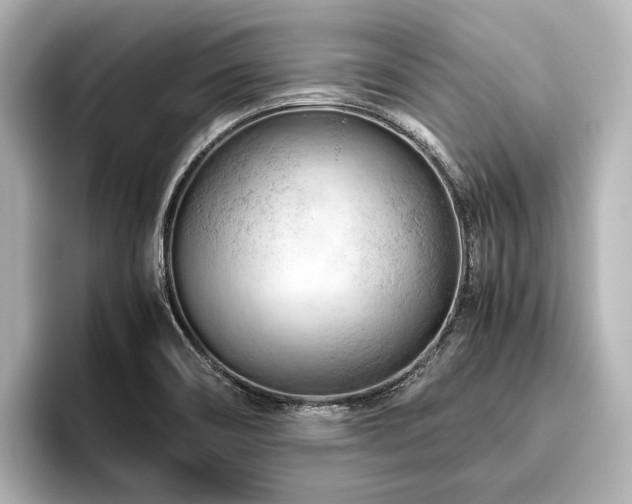 X0000096441466200801241349