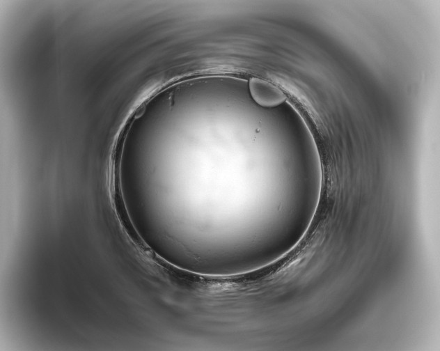 X0000096441467200801241349