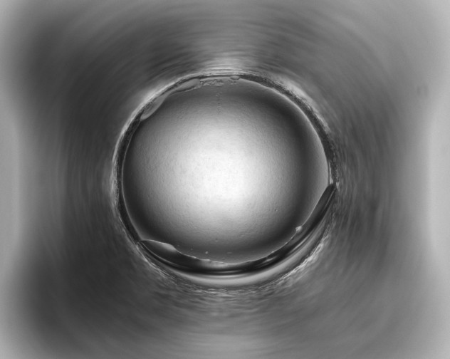 X0000096441469200801241349