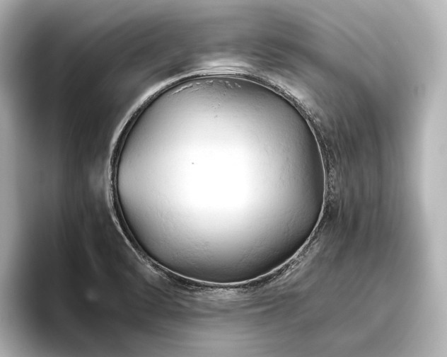 X0000096441470200801241349