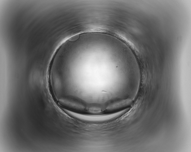 X0000096441471200801241349