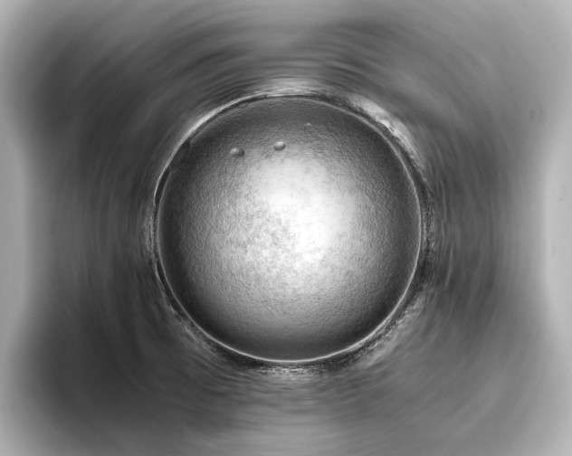 X0000096441473200801241349