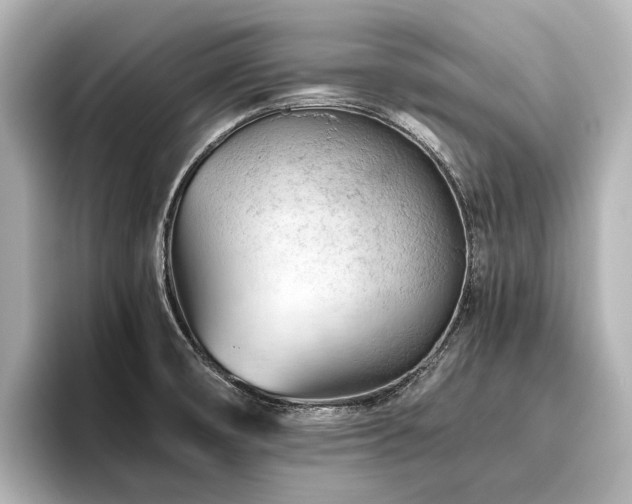 X0000096441474200801241349