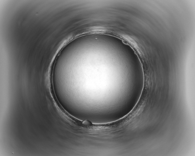 X0000096441475200801241349