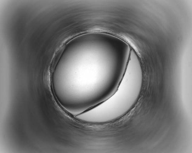 X0000096441476200801241349