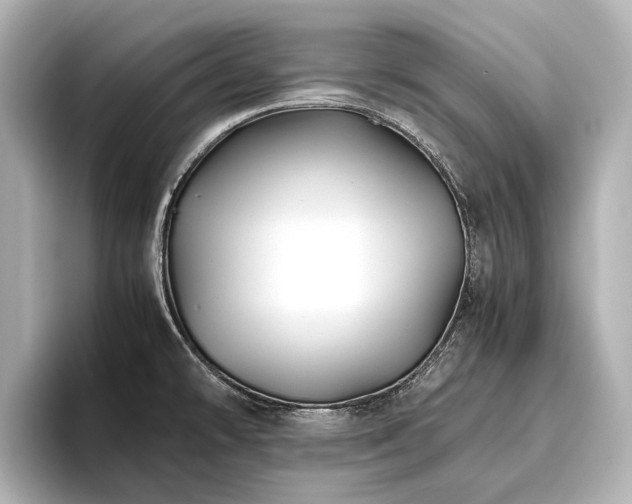 X0000096441478200801241348