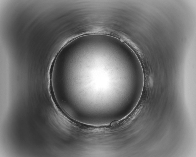 X0000096441479200801241348