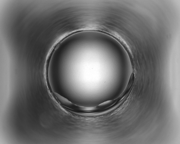 X0000096441480200801241348