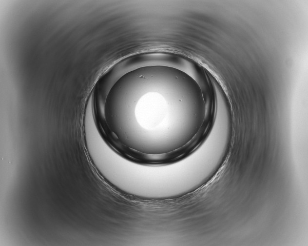 X0000096441481200801241348