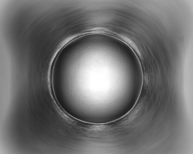 X0000096441482200801241348