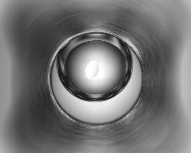 X0000096441484200801241348