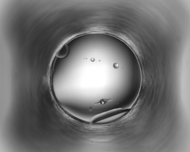 X0000096441486200801241348