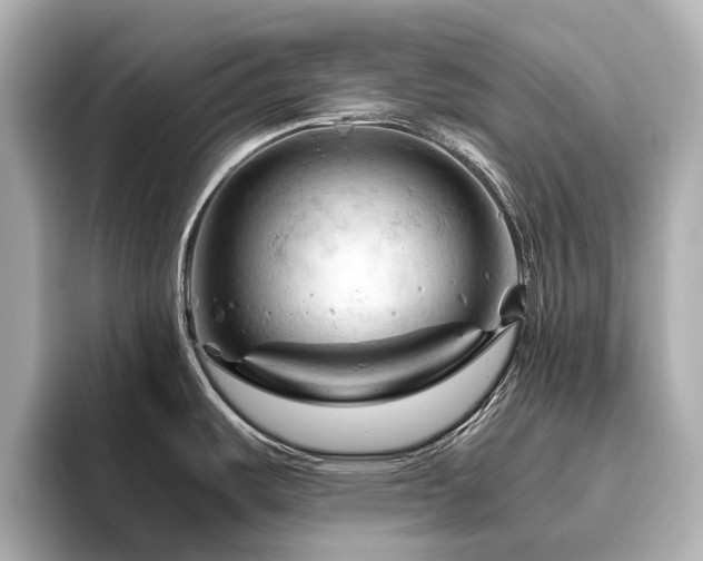 X0000096441487200801241348
