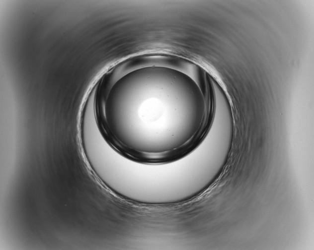 X0000096441488200801241348
