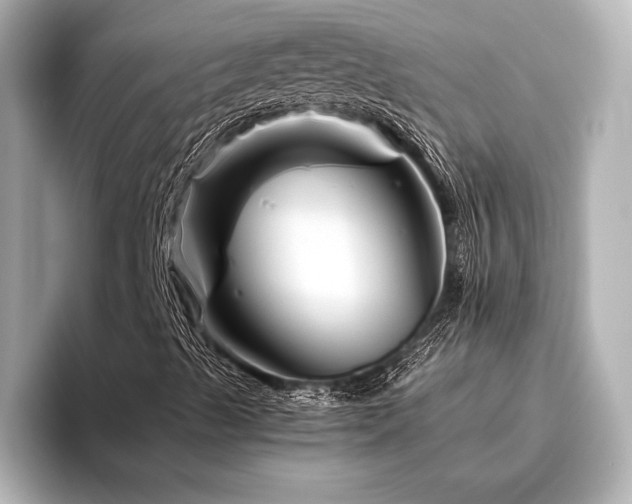 X0000096441489200801241348