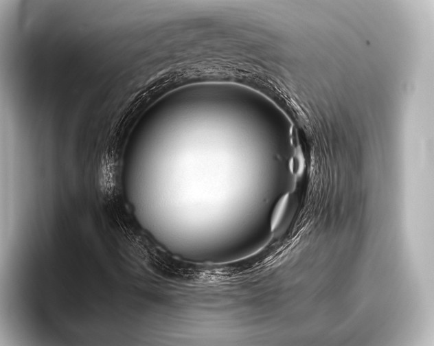X0000096441490200801241348