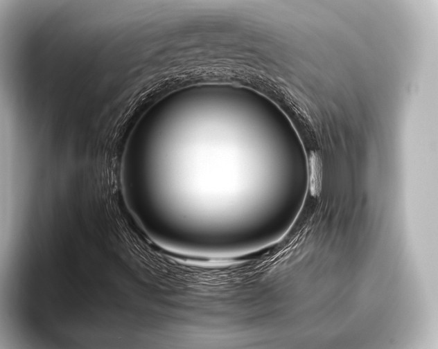 X0000096441491200801241348