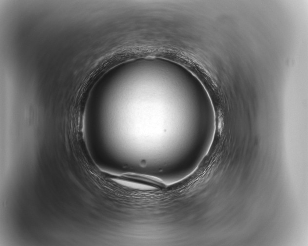 X0000096441492200801241348