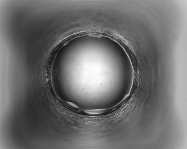 X0000096441496200801241348