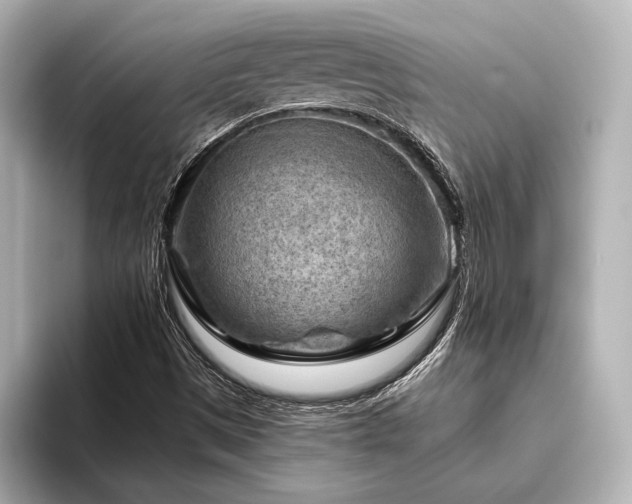X0000096441497200801241348