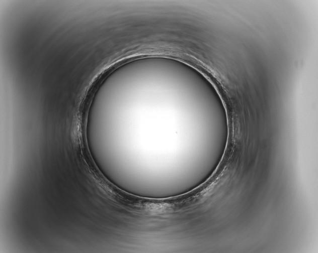 X0000096441498200801241348