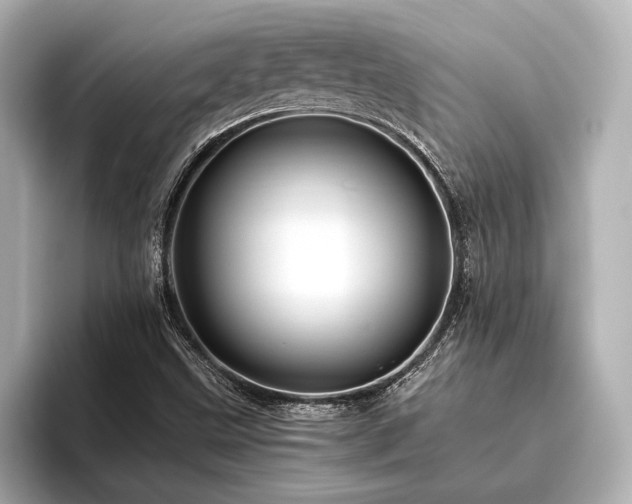 X0000096441499200801241348