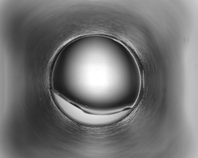 X0000096441500200801241348