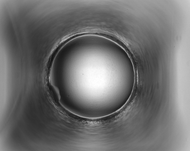 X0000096441501200801241348