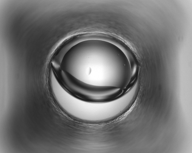 X0000096441502200801241348