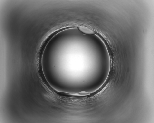 X0000096441503200801241348