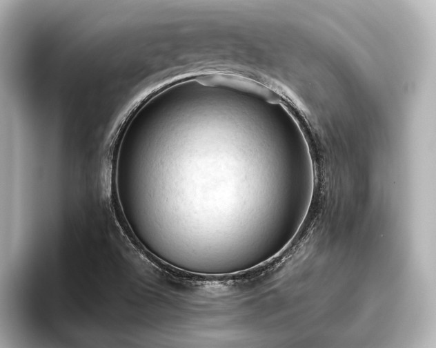 X0000096441504200801241348