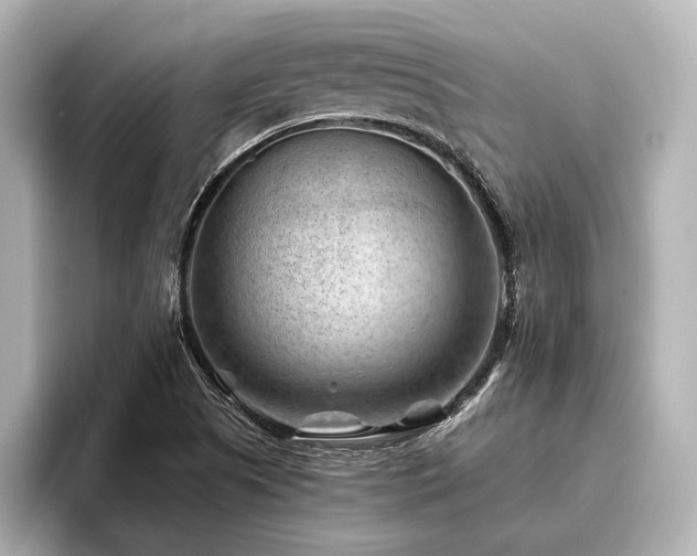 X0000096441505200801241348