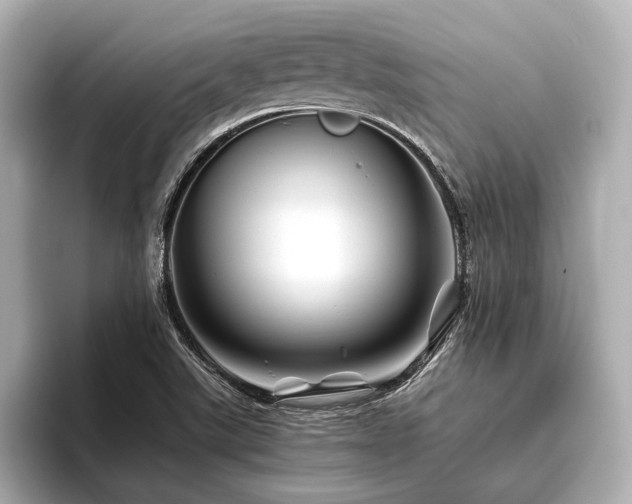 X0000096441507200801241348
