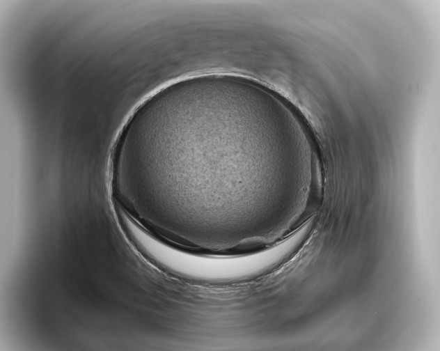 X0000096441508200801241348