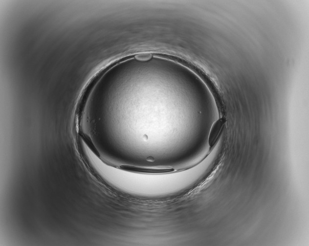 X0000096441509200801241348