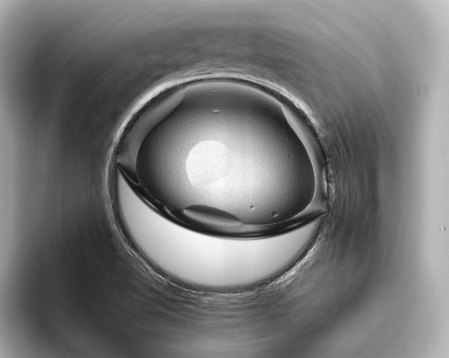 X0000096441510200801241348