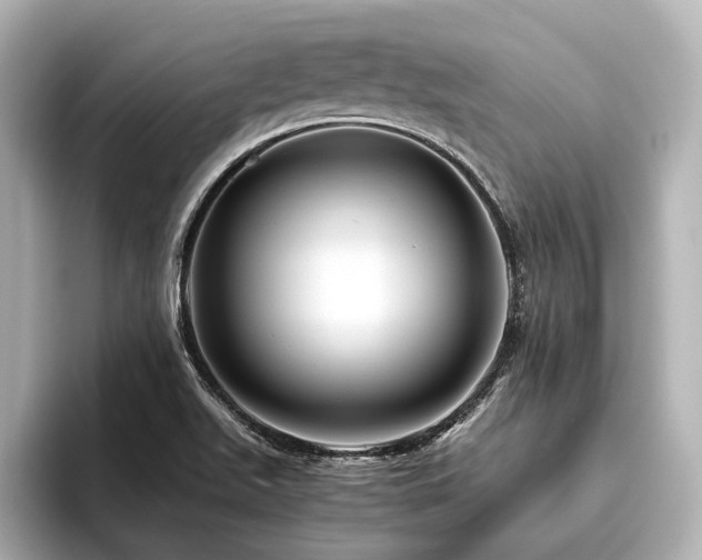 X0000096441511200801241348